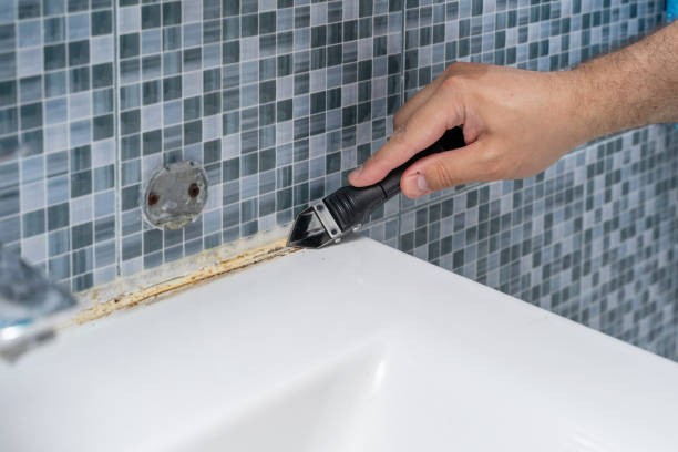 Best Office Mold Removal Services  in Boulder City, NV