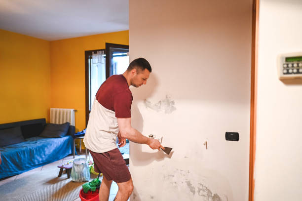 Best Home Mold Removal  in Boulder City, NV