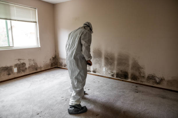 Water Damage Restoration in Boulder City, NV